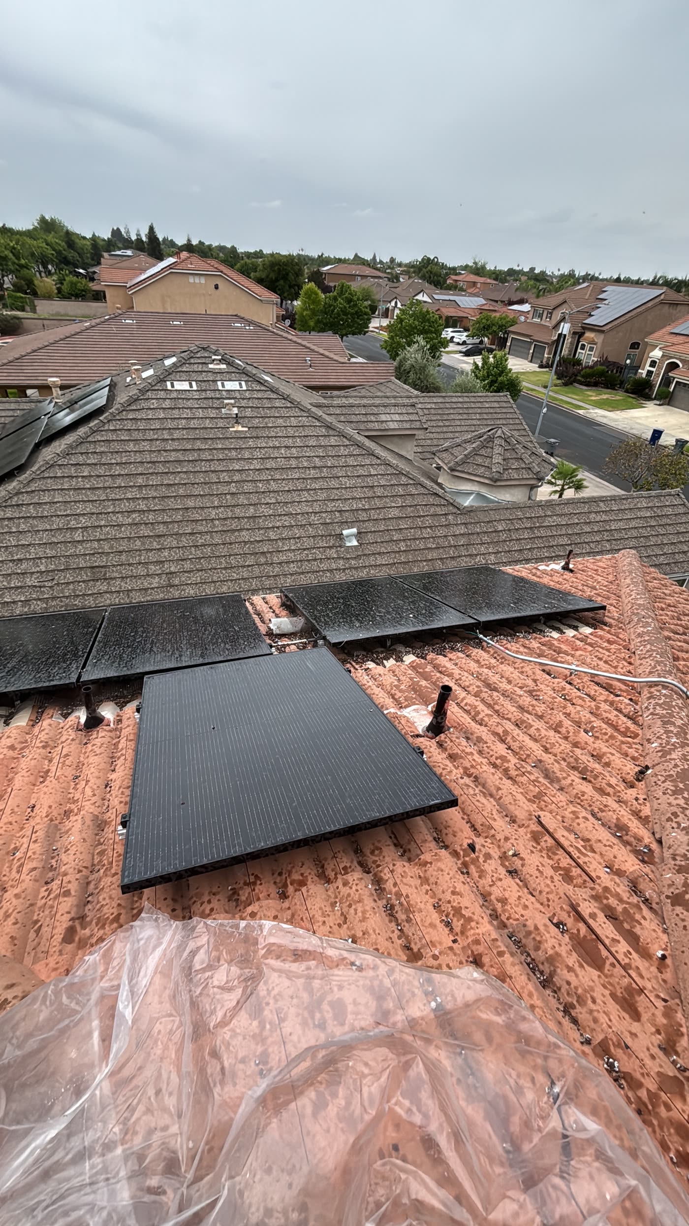 Rooftop solar panels on tile before bird proofing, with nesting debris and droppings on the tile beneath the array